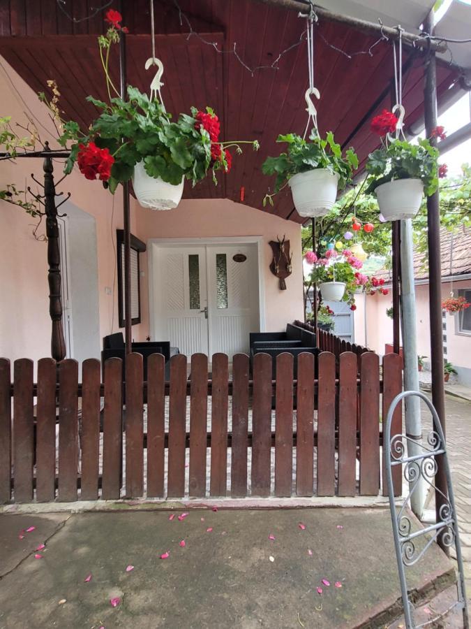 Sacel  Casa Maiorヴィラ エクステリア 写真