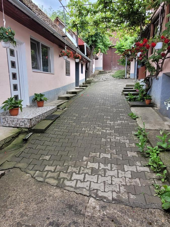 Sacel  Casa Maiorヴィラ エクステリア 写真